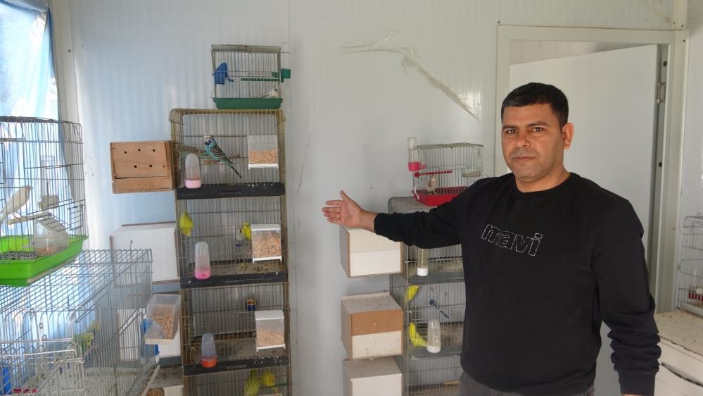 Antakya ilçesinde yaşayan Abdullah Çıplak, 13 yaşında yakaladığı muhabbet kuşuyla