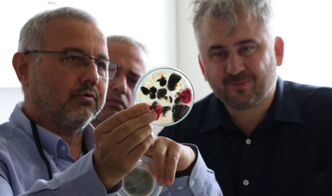 HBB ile HMKÜ arasında yürütülen iş birliği kapsamında tarımda verimliliği