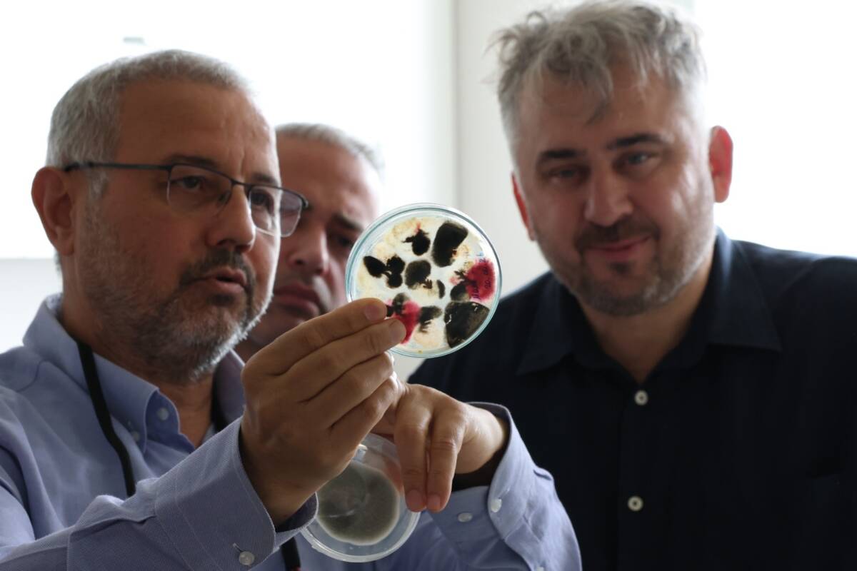 HBB ile HMKÜ arasında yürütülen iş birliği kapsamında tarımda verimliliği