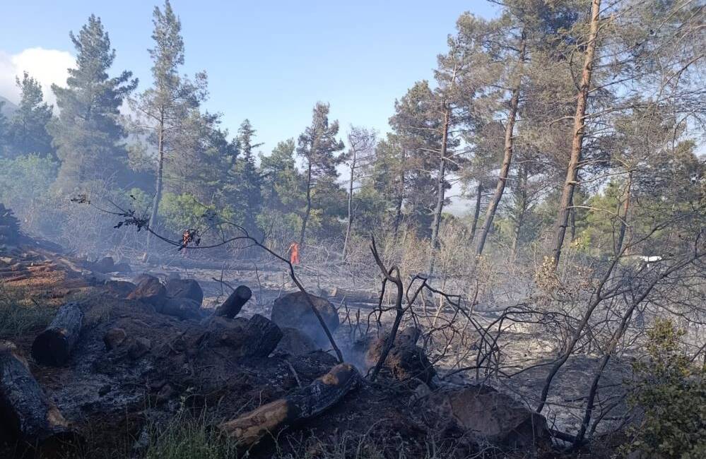 Hatay’ın Kırıkhan ilçesinde çıkan orman yangını, ekiplerin hızlı müdahalesi sayesinde
