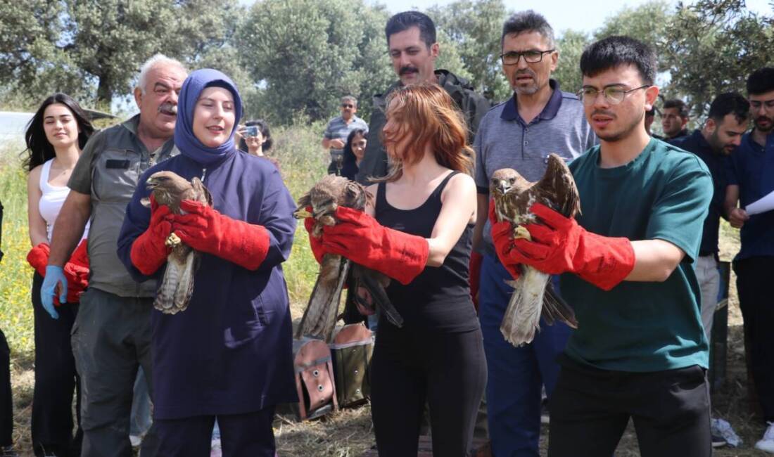 Hatay’da farklı zamanlarda yaralı ve bitkin halde bulunan 15 kuş,