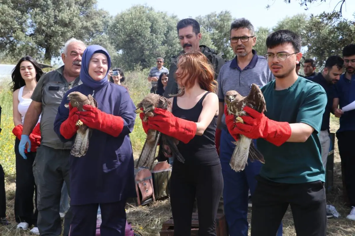 Hatay’da farklı zamanlarda yaralı ve bitkin halde bulunan 15 kuş,