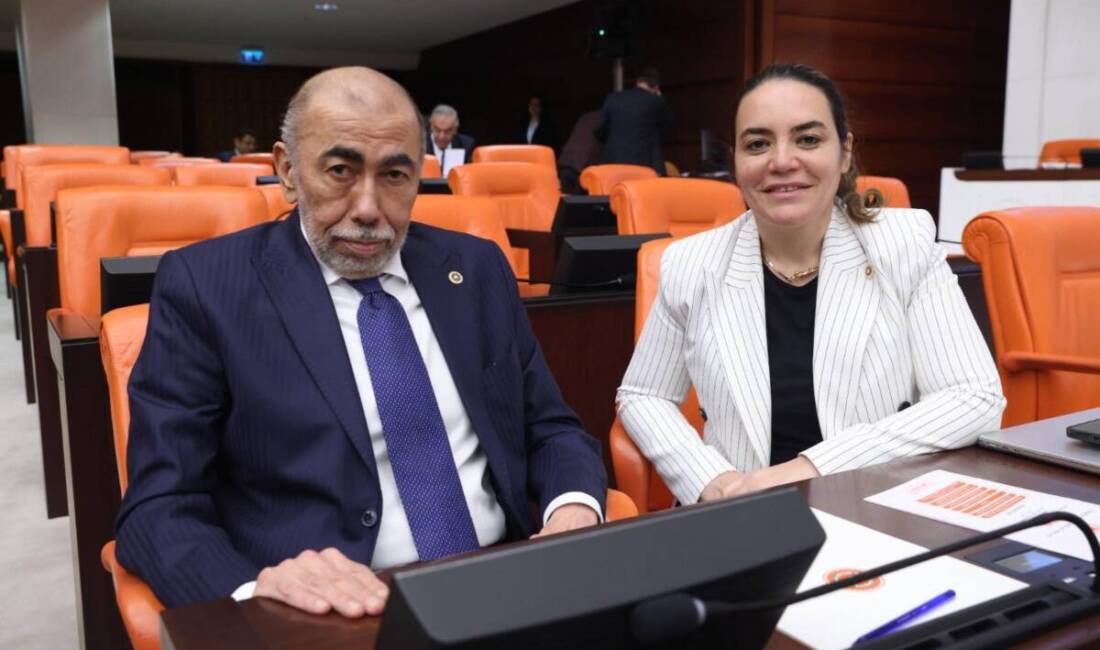 Hatay İYİ Parti Milletvekili Şefik Çirkin, Türkiye Büyük Millet Meclisi’nde