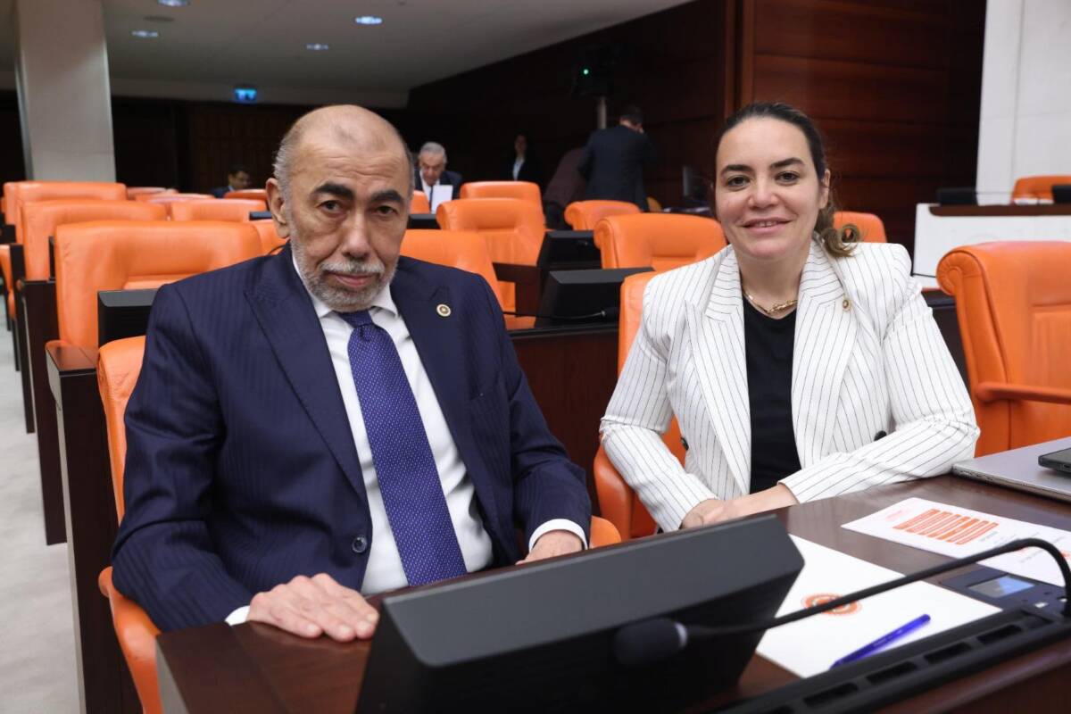 Hatay İYİ Parti Milletvekili Şefik Çirkin, Türkiye Büyük Millet Meclisi’nde