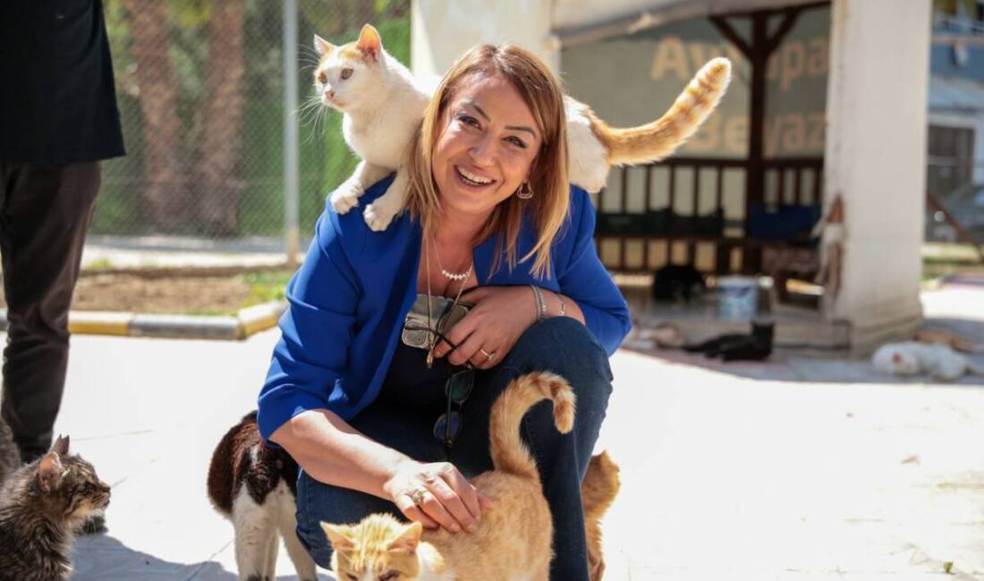 Nermin Yıldırım Kara, önceki gün İskenderun’da bulunan HBB Kedi Bakım