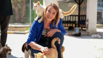 Nermin Yıldırım Kara, önceki gün İskenderun’da bulunan HBB Kedi Bakım
