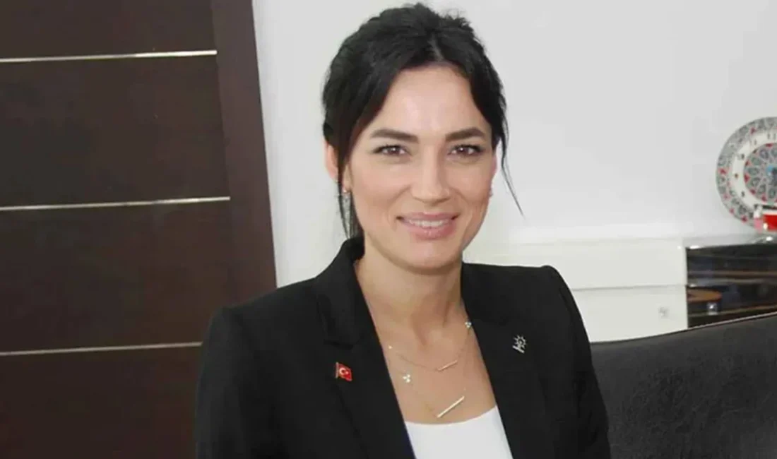 Aydın’da bir milletvekilinin oğlunun okula silah götürdüğü iddiası sonrası başlatılan