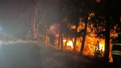 Hatay’ın Arsuz ilçesinde ağaçlık alanda çıkan yangın, itfaiye ekiplerinin hızlı