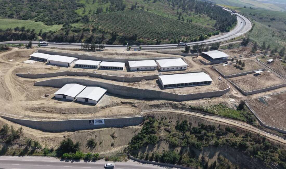 Hatay’ın Belen ilçesinde sahipsiz hayvanlar için inşa edilen 75 bin