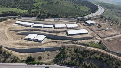 Hatay’ın Belen ilçesinde sahipsiz hayvanlar için inşa edilen 75 bin