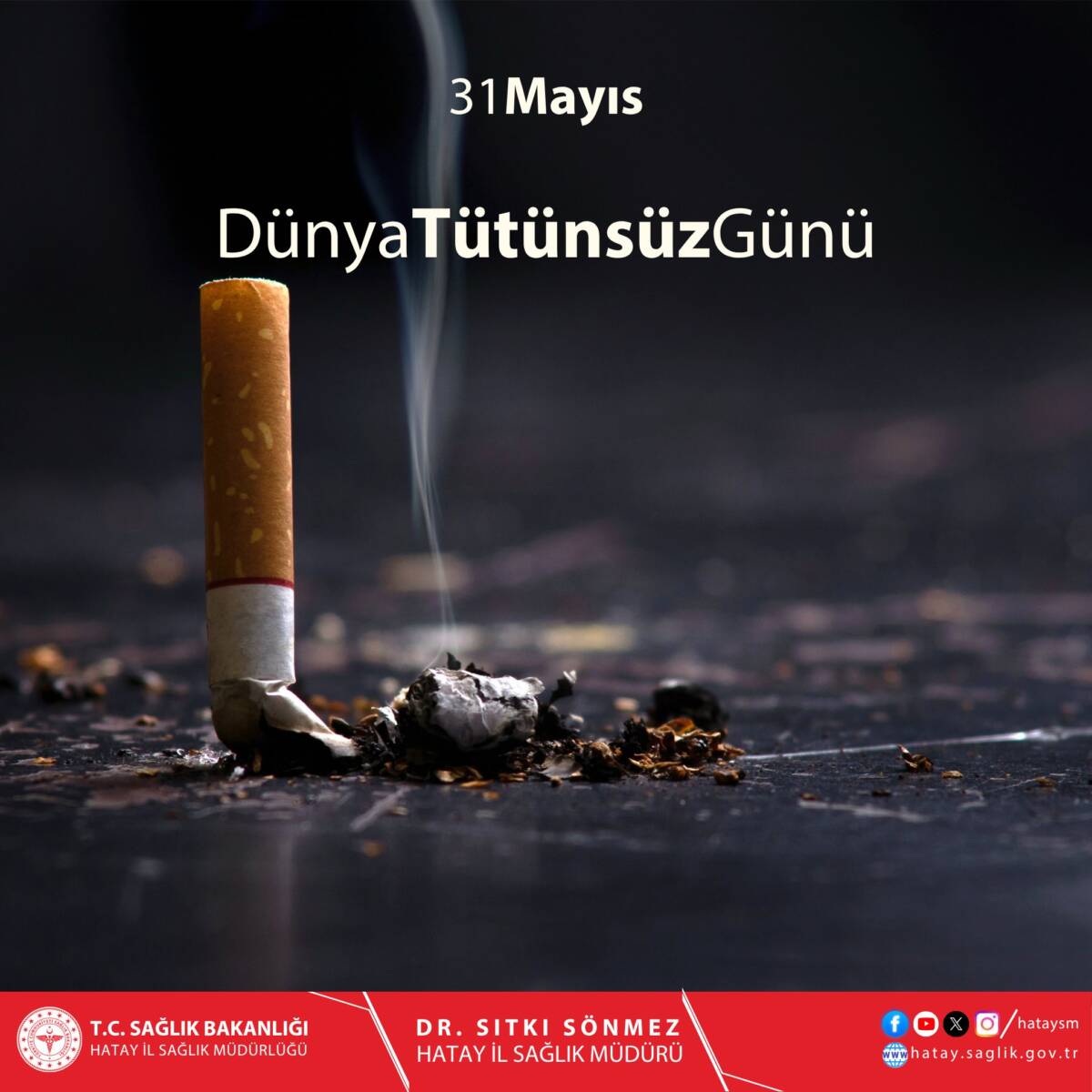 Her yıl 31 Mayıs’ta kutlanan Dünya Tütünsüz Günü, tütün kullanımının