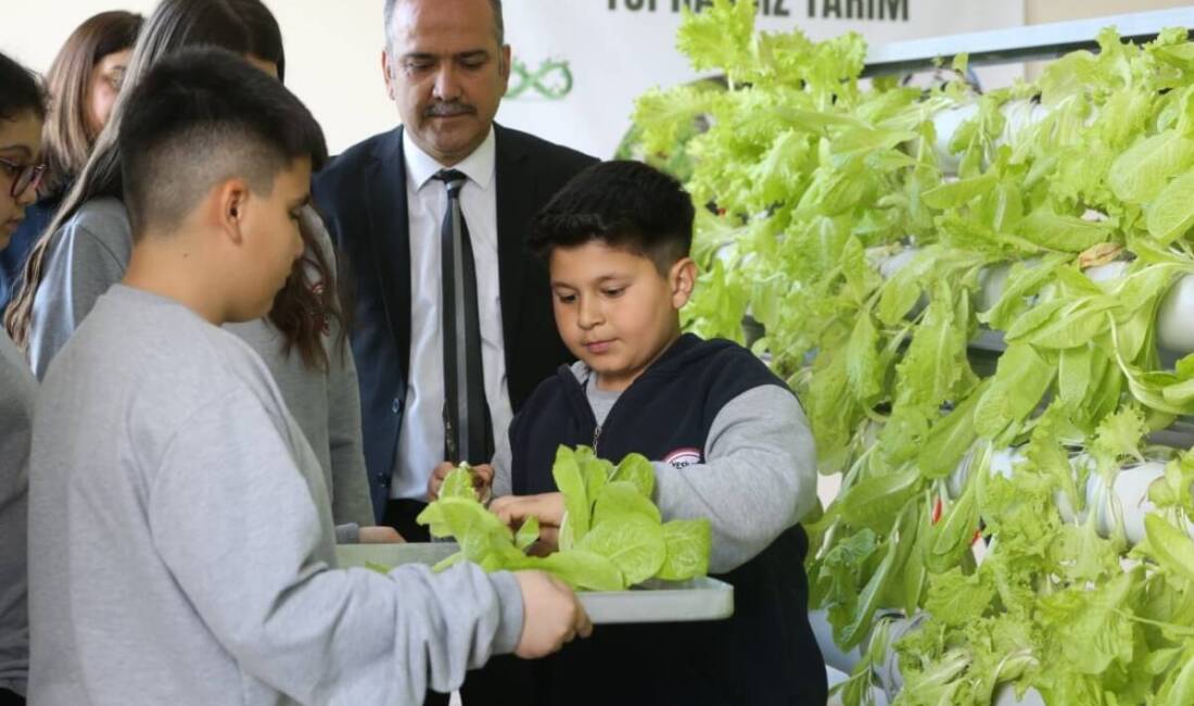 Hatay’ın Dörtyol ilçesinde ortaokul öğrencileri, okulda aldıkları topraksız tarım eğitimi