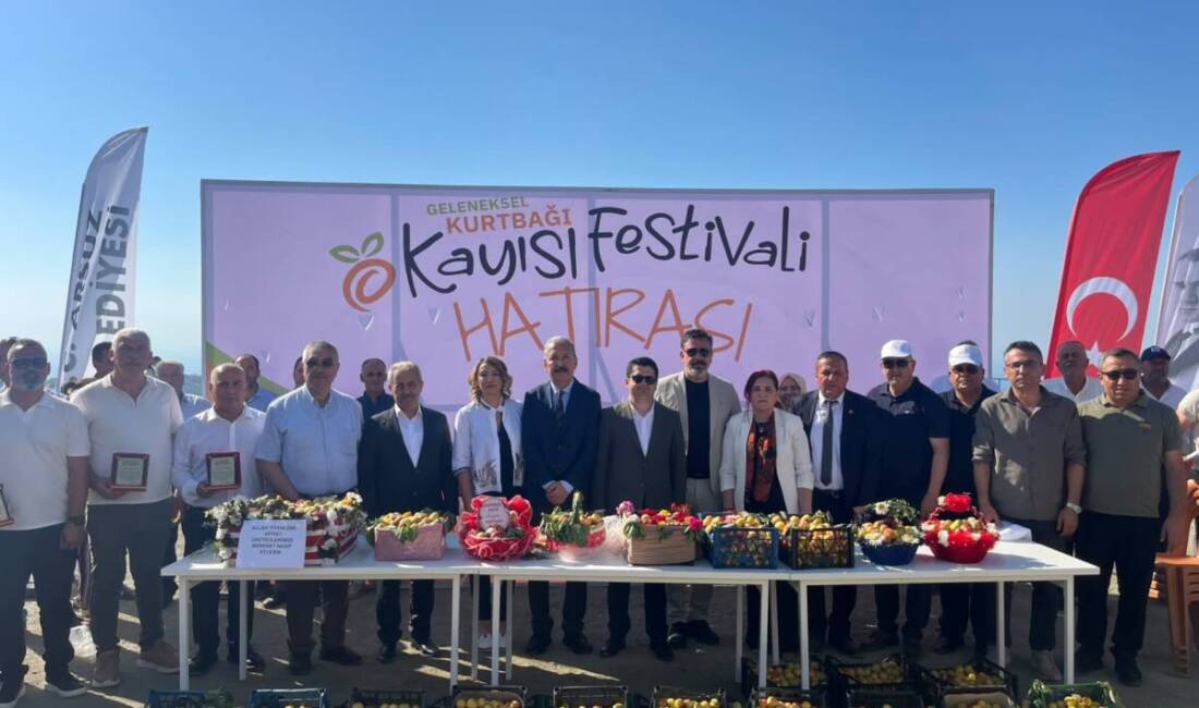 Hatay'ın Kurtbağı Mahallesi'nde bu yıl 9'uncusu düzenlenen Geleneksel Kayısı Festivali,
