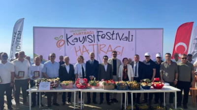 Hatay'ın Kurtbağı Mahallesi'nde bu yıl 9'uncusu düzenlenen Geleneksel Kayısı Festivali,