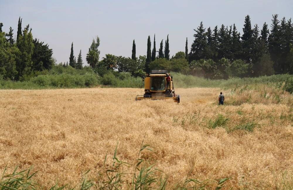 Hatay’da eğitim veren Saadet Yusuf Mıstıkoğlu Tarım Mesleki ve Teknik