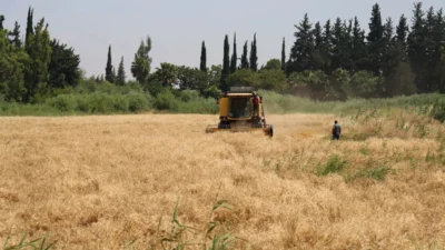 Hatay’da eğitim veren Saadet Yusuf Mıstıkoğlu Tarım Mesleki ve Teknik