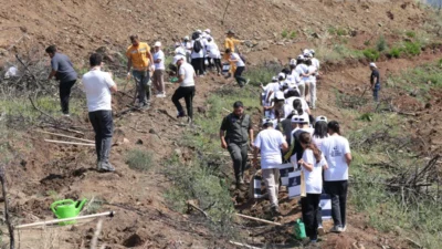 Hatay'da 5 Haziran Dünya Çevre Günü kapsamında düzenlenen etkinlikte yüzlerce