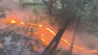 Hatay'ın Antakya ve Hassa ilçelerinde çıkan iki ayrı yangın, ekiplerin