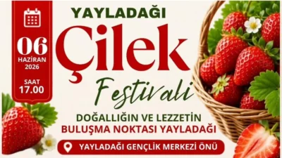 Hatay’ın Yayladağı ilçesinde geleneksel hale gelen Çilek Festivali için geri