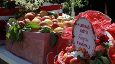 Hatay Büyükşehir Belediyesinin destekleriyle düzenlenen Geleneksel Kurtbağı Kayısı Festivali, iki