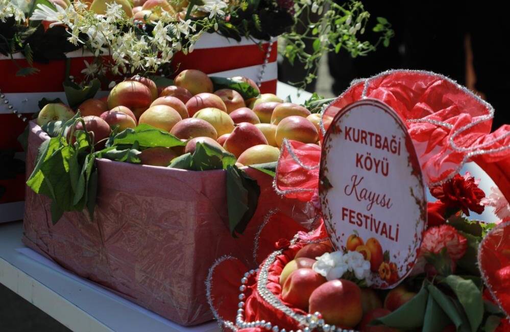 Hatay Büyükşehir Belediyesinin destekleriyle düzenlenen Geleneksel Kurtbağı Kayısı Festivali, iki