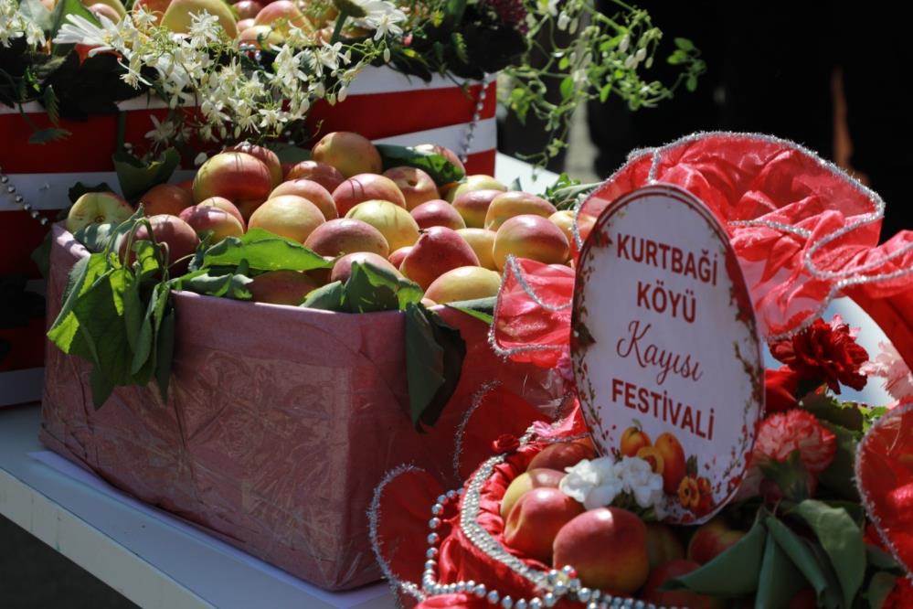 Hatay Büyükşehir Belediyesinin destekleriyle düzenlenen Geleneksel Kurtbağı Kayısı Festivali, iki