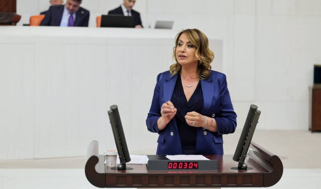 CHP Hatay Milletvekili ve TBMM Kâtip Üyesi Nermin Yıldırım Kara,