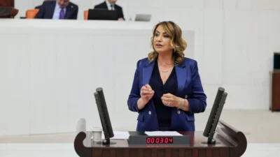 CHP Hatay Milletvekili ve TBMM Kâtip Üyesi Nermin Yıldırım Kara,