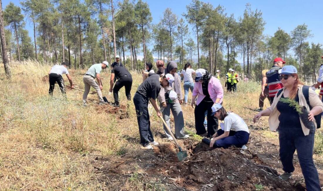 Hatay’ın Kırıkhan ilçesinde düzenlenen ekolojik farkındalık gezisinde doğaseverler fidan dikti,