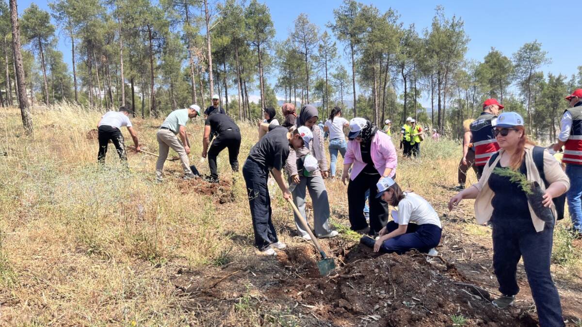 Kırıkhan’da doğaseverler sahada: yangınlarla mücadele yerind