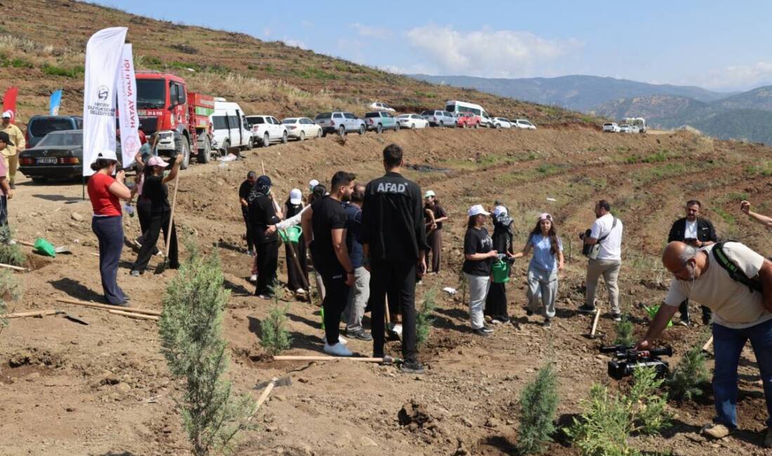 Hatay’da geçtiğimiz yıl orman yangınından zarar gören alanların yeniden yeşertilmesi