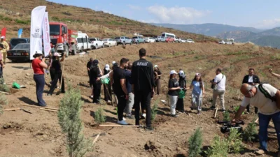 Hatay’da geçtiğimiz yıl orman yangınından zarar gören alanların yeniden yeşertilmesi