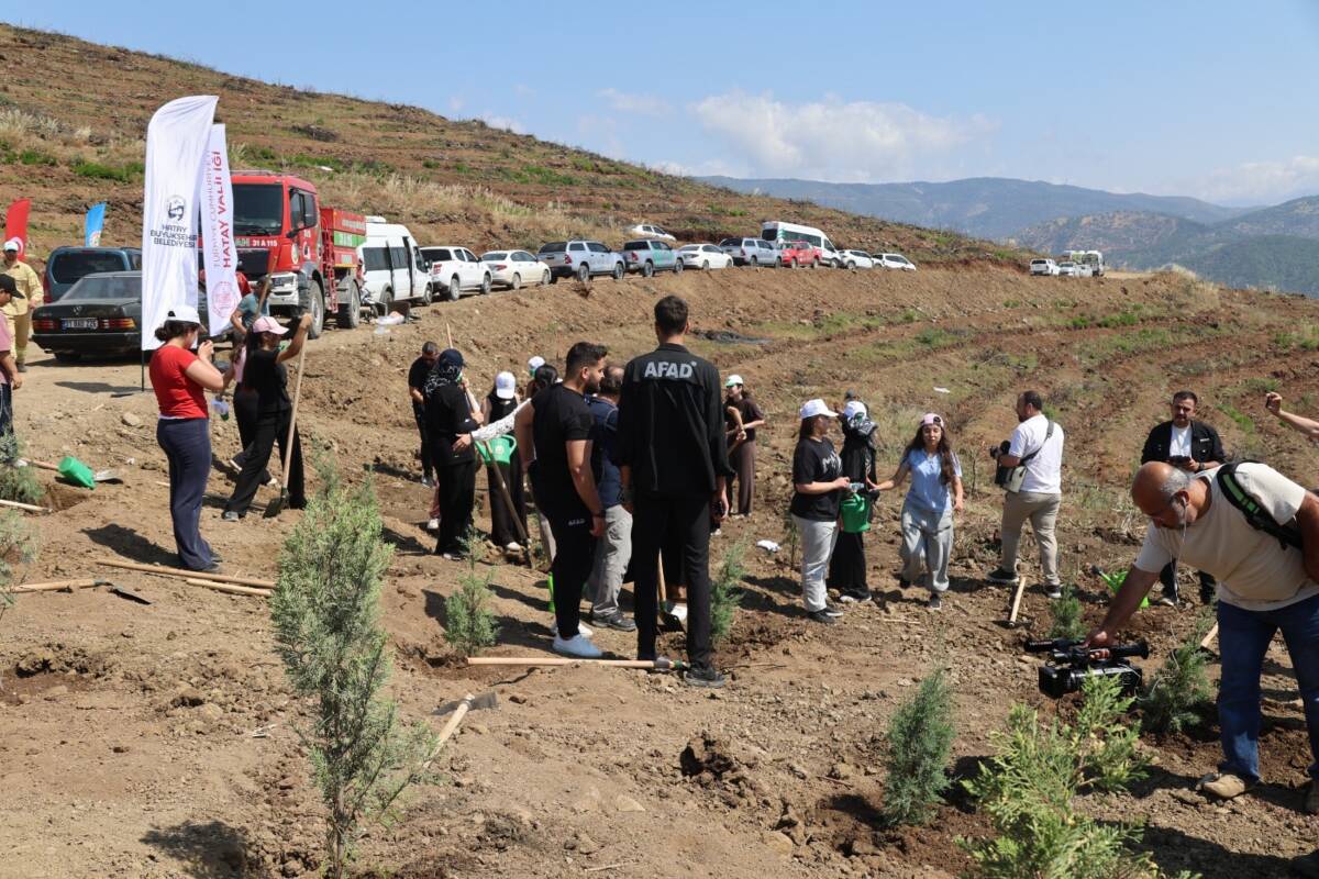 Hatay’da geçtiğimiz yıl orman yangınından zarar gören alanların yeniden yeşertilmesi