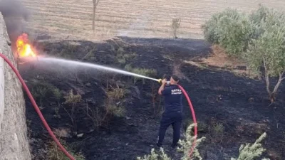 Hatay'ın Kırıkhan ilçesinde zeytinlik alanda çıkan yangın, itfaiye ekiplerinin zamanında