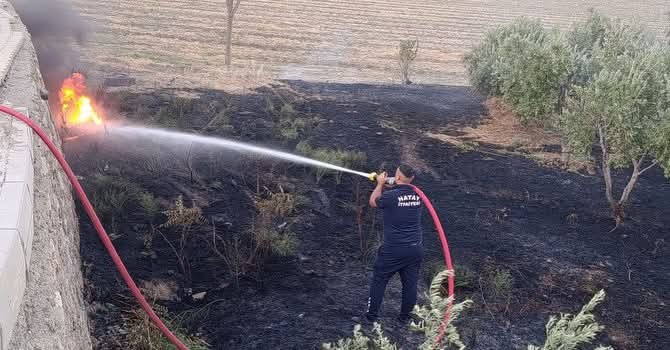 Hatay'ın Kırıkhan ilçesinde zeytinlik alanda çıkan yangın, itfaiye ekiplerinin zamanında