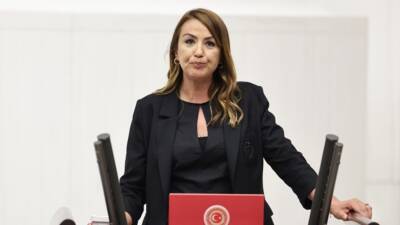 CHP Hatay Milletvekili Nermin Yıldırım Kara, 2026 Yılı Ulusal Yatırım