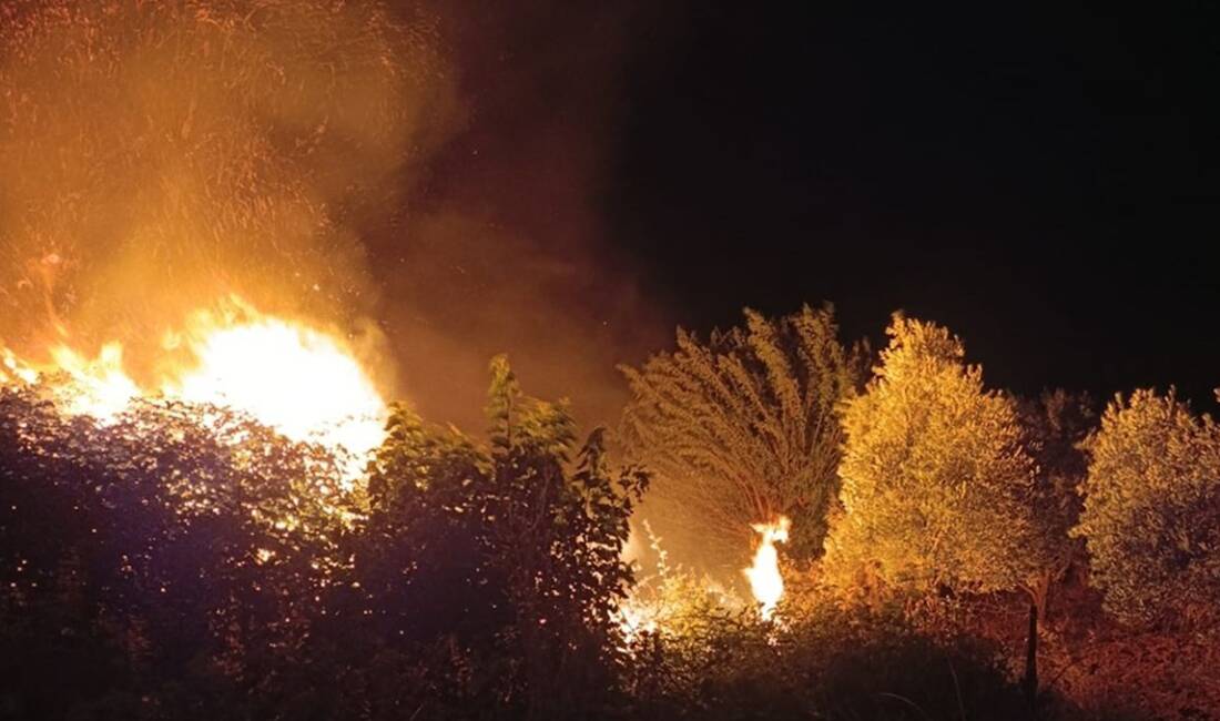 Hatay'ın Kırıkhan ilçesinde çıkan anız yangını, rüzgarın da etkisiyle kısa
