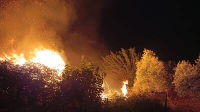 Hatay'ın Kırıkhan ilçesinde çıkan anız yangını, rüzgarın da etkisiyle kısa