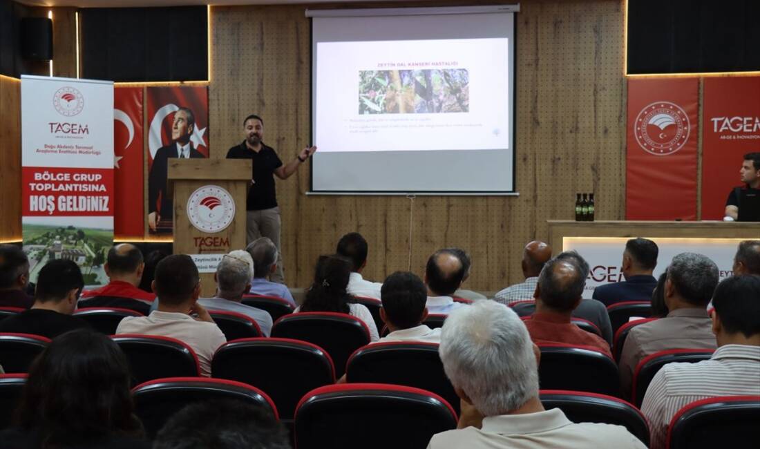 Hatay'da zeytin üretiminin geleceğini yakından ilgilendiren önemli bir toplantı gerçekleştirildi.