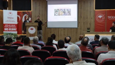 Hatay'da zeytin üretiminin geleceğini yakından ilgilendiren önemli bir toplantı gerçekleştirildi.