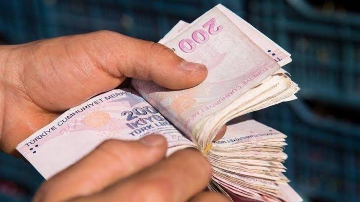 Devlet tahvili, hazine bonosu ve kamu varlık kiralama şirketleri tarafından