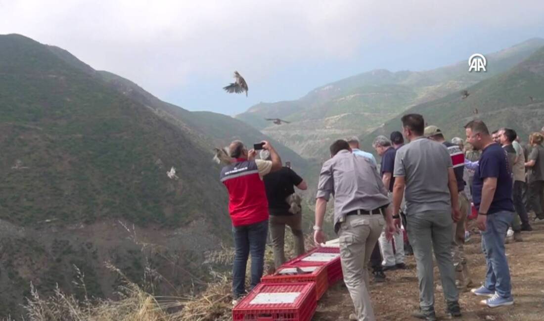 Hatay'ın Belen ilçesinde doğal yaşamın desteklenmesi ve ekolojik dengenin güçlendirilmesi