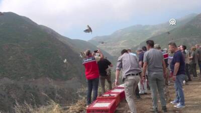 Hatay'ın Belen ilçesinde doğal yaşamın desteklenmesi ve ekolojik dengenin güçlendirilmesi