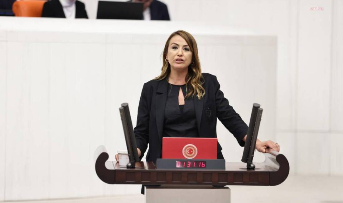 Aknehir Mahallesi sınırlarında, Karacay Nehri ile Asi Nehri'nin birleştiği bölgede