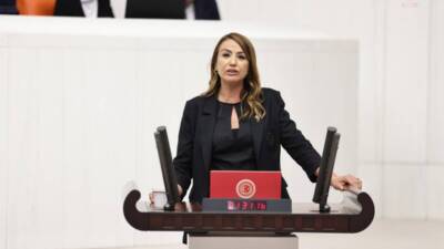 Aknehir Mahallesi sınırlarında, Karacay Nehri ile Asi Nehri'nin birleştiği bölgede