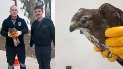 Antakya’da görevli güvenlik personeli Ufuk Ekizoğlu, devriye sırasında bina duvarına