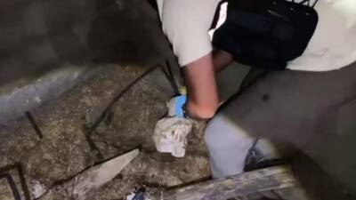 Hatay’da jandarma ekiplerinin uyuşturucu ticaretine yönelik düzenlediği operasyonda, bir ahırdaki