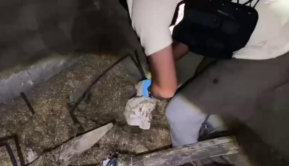 Hatay’da jandarma ekiplerinin uyuşturucu ticaretine yönelik düzenlediği operasyonda, bir ahırdaki
