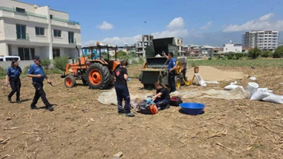 Arsuz’da tarlada çalışan 24 yaşındaki Mohammad Alhasan, saman ayırma makinesine