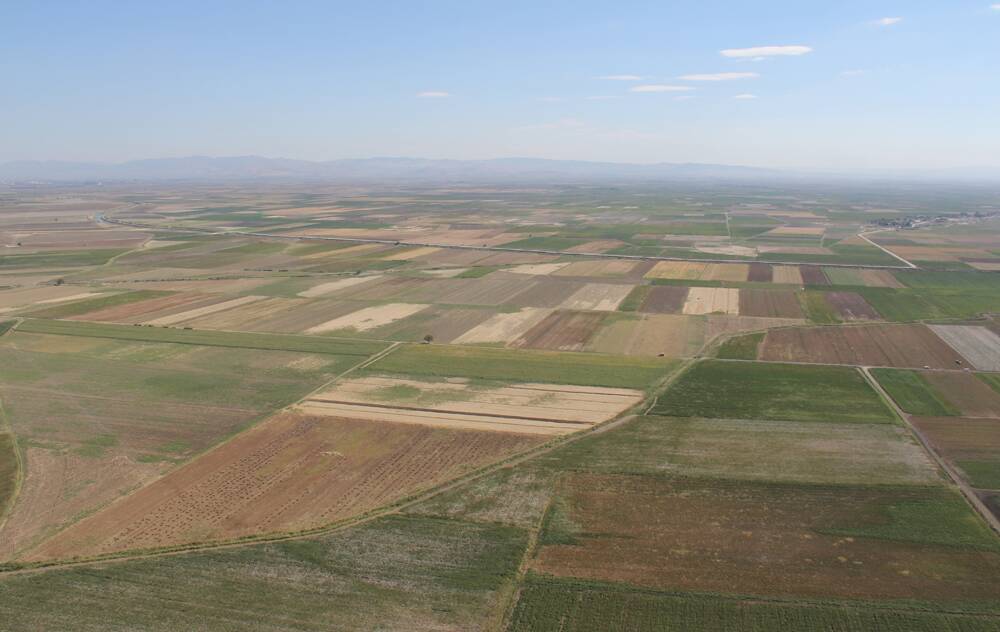 Hatay Tarım Şurası Delegesi ve Çiftçi Mallarını Koruma Başkanı Ertuğrul